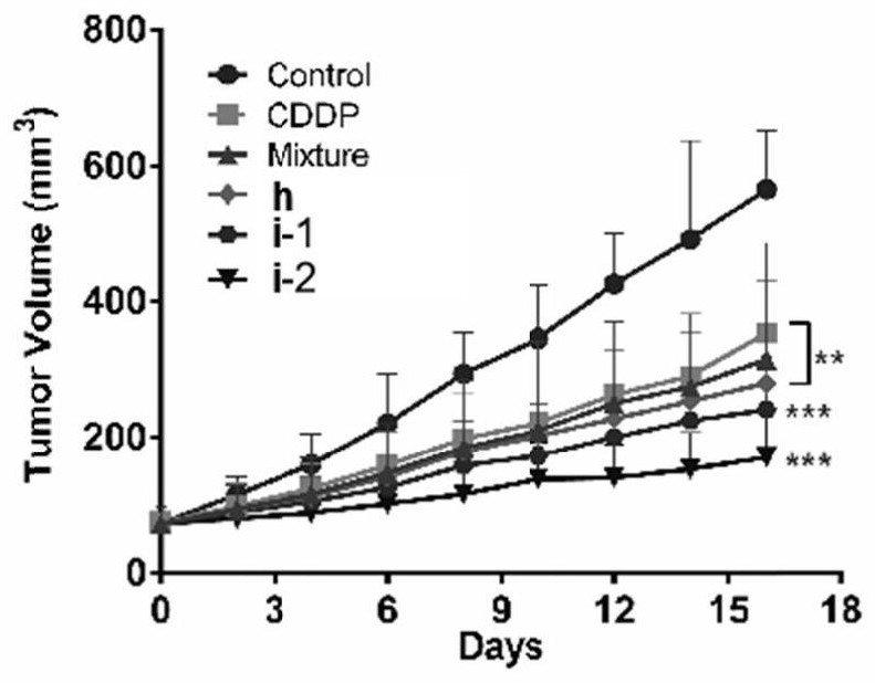 一种HO-1i-Pt(IV)配合物和自组装纳米粒的制备方法及其在肿瘤药物中的应用